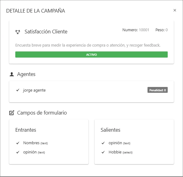 Ventana emergente mostrando el detalle completo de una campaña seleccionada, incluyendo nombre, agentes, formularios y estado.