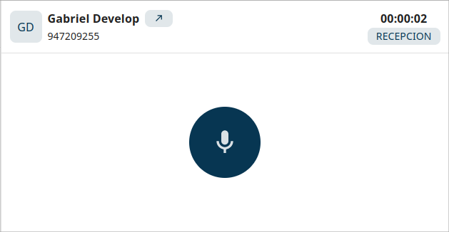 Vista de llamada activa